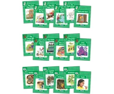 KNYGA Sara Wernham Jolly Phonics Readers, Complete Set Level 3