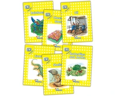 KNYGA Sara Wernham Jolly Phonics Readers, Nonfiction, Level 2