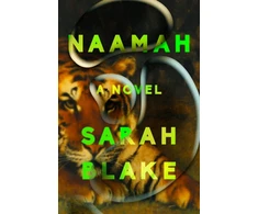 KNYGA Sarah Blake Naamah, A Novel