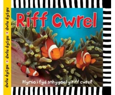 KNYGA Sarah Powell Cyfres Dwlu Dysgu: Riff Cwrel