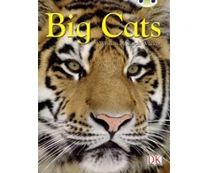 KNYGA Sarah Walker BC NF Brown B/3B Big Cats