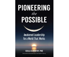 KNYGA Scilla Elworthy Pioneering the Possible