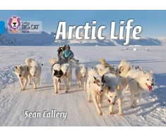 KNYGA Sean Callery Arctic Life