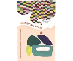 KNYGA Sean Cho A American Home