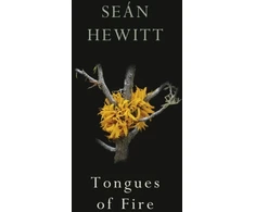 KNYGA Sean Hewitt Tongues of Fire