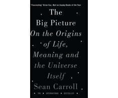 KNYGA Sean M Carroll Big Picture, On the Origins of Life, Meaning, and the Universe Itself