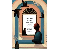 KNYGA Sinad Gleeson Art of the Glimpse