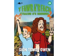 KNYGA Sion Tomos Owen Cyfres Amdani: Y Fawr a'r Fach 2
