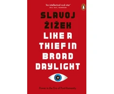 KNYGA Slavoj Iek Like A Thief In Broad Daylight