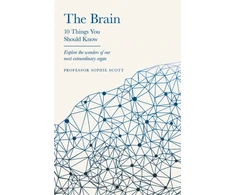 KNYGA Sophie Scott Brain