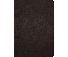 KNYGA Spck ESV Study Bible, Large Print