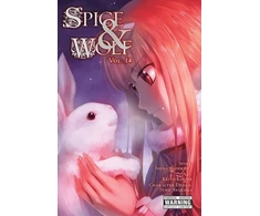 KNYGA Spice and Wolf, Vol. 14 (manga)