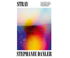KNYGA Stephanie Danler Paklydęs