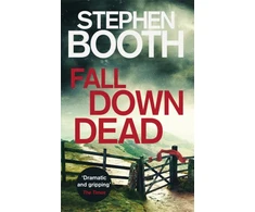 KNYGA Stephen Booth Fall Down Dead