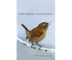 KNYGA Stephen Moss Wren