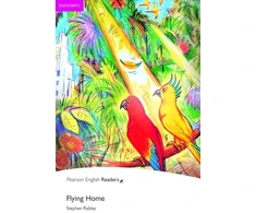 KNYGA Stephen Rabley Easystart: Flying Home