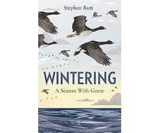 KNYGA Stephen Rutt Wintering