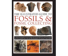 KNYGA Steve Parker Fossils &amp; Fossil Collecting, The Illustrated Guide to, A reference guide to over 375 plant and animal fossils from around the globe and how to identify them, with over 950 photographs and artworks