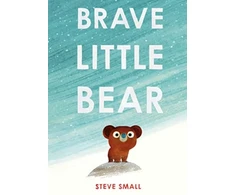 KNYGA Steve Small Brave Little Bear, the adorable new story from the author of The Duck Who Didn't Like Vanduo