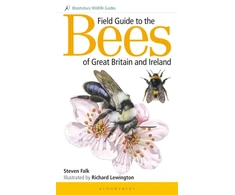 KNYGA Steven Falk Field Guide to the Bees of Great Britain and Ireland