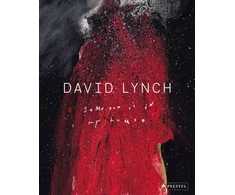 KNYGA Stijn Huijts David Lynch