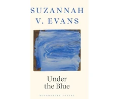 KNYGA Suzannah V Evans Under the Mėlyna
