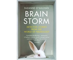 KNYGA Suzanne Osullivan Brainstorm