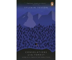 KNYGA Sylvain Tesson Consolations of the Forest