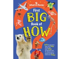 KNYGA Symes Sally First Big Book of How