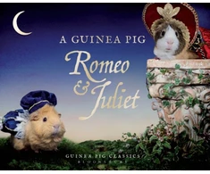 KNYGA Tess Newall Guinea Pig Romeo &amp; Juliet