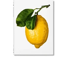 KNYGA The The Gourmand Gourmand’s Lemon