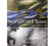 KNYGA Theodor Schwenk Sensitive Chaos