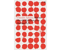 KNYGA Theodor W Adorno Minima Moralia, Reflections from Damaged Life (Pažeista pakuotė)