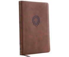 KNYGA Thomas Nelson KJV Holy Bible: Thinline Youth Edition, Brown Leathersoft, Raudona Letter, Comfort Print: King James Version