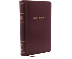 KNYGA Thomas Thomas Nelson KJV Holy Bible: Personal Size Giant Print with 43,000 Cross References, Burgundy Leather-Look, Raudona Letter, Comfort Print: King James Version
