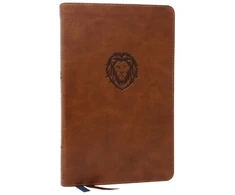 KNYGA Thomas Thomas Nelson NKJV, Thinline Bible Youth Edition, Leathersoft, Brown, Raudona Letter, Comfort Print, Holy Bible, New King James Version