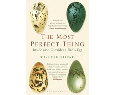 KNYGA Tim Birkhead Most Perfect Thing, Inside (and Outside) a Bird’s Egg