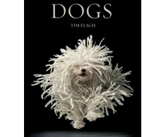 KNYGA Tim Flach Šunys