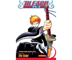 KNYGA Tite Kubo Kubo Tite Bleach, Vol. 1: Strawberry and the Soul Reapers