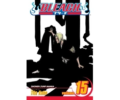 KNYGA Tite Kubo Bleach, Vol. 15