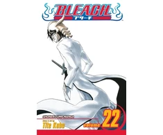 KNYGA Tite Kubo Bleach, Vol. 22