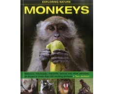 KNYGA Tom Jackson Exploring Nature: Monkeys