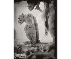 KNYGA Tomas Van Houtryve: 36 Views of Notre Dame
