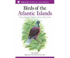 KNYGA Tony Clarke Field Guide to the Birds of the Atlantic Islands