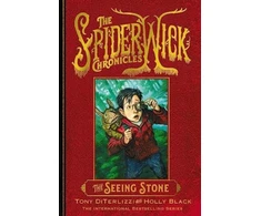 KNYGA Tony Diterlizzi Seeing Stone