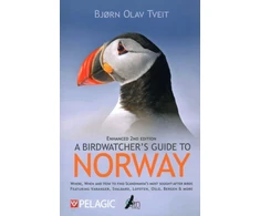 KNYGA Tveit Birdwatcher’s Guide to Norway, Where, when and how to find Scandinavia’s most sought-after birds