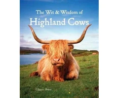 KNYGA Ulysses Brave Wit &amp; Wisdom of Highland Cows