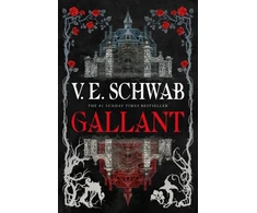KNYGA V E Schwab Gallant