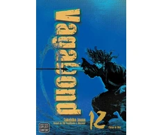 KNYGA Vagabond (VIZBIG Edition), Vol. 12