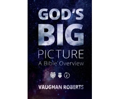 KNYGA Vaughan Roberts God's Big Picture, A Bible Overview